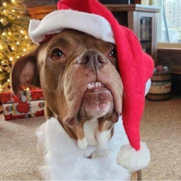 Meet your Posher, Megan - Picture 14 of 16